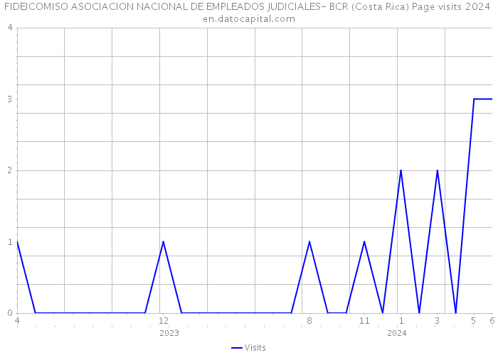 FIDEICOMISO ASOCIACION NACIONAL DE EMPLEADOS JUDICIALES- BCR (Costa Rica) Page visits 2024 