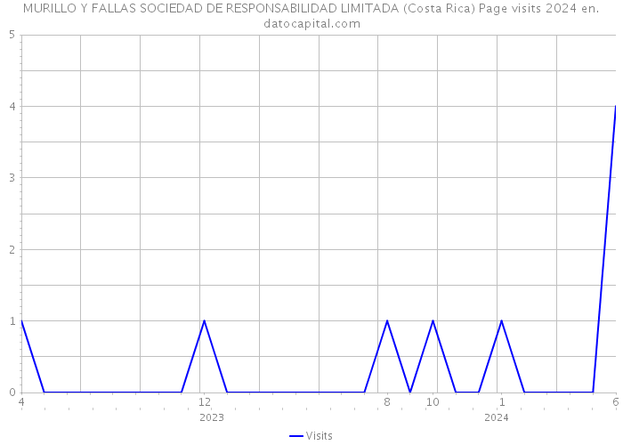 MURILLO Y FALLAS SOCIEDAD DE RESPONSABILIDAD LIMITADA (Costa Rica) Page visits 2024 