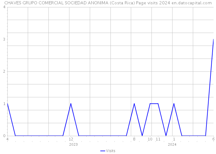 CHAVES GRUPO COMERCIAL SOCIEDAD ANONIMA (Costa Rica) Page visits 2024 