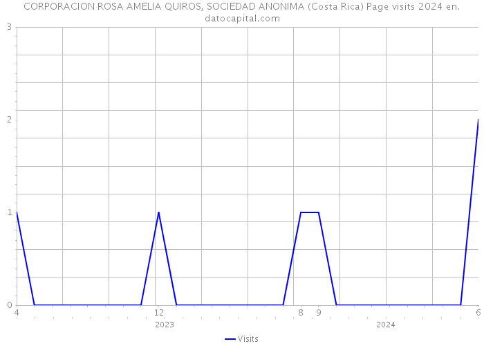 CORPORACION ROSA AMELIA QUIROS, SOCIEDAD ANONIMA (Costa Rica) Page visits 2024 