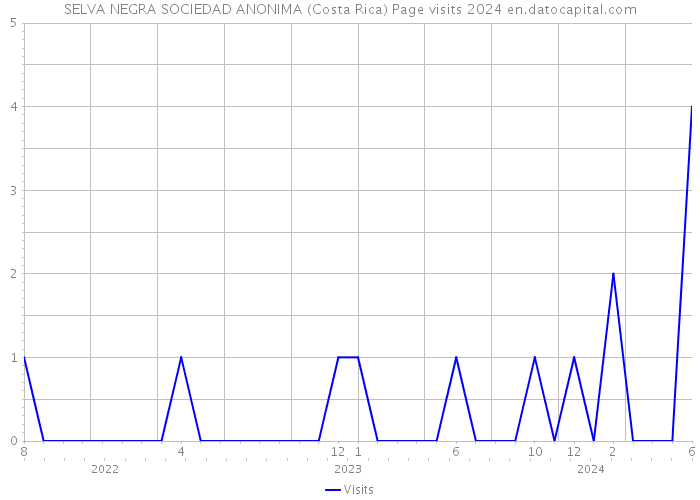SELVA NEGRA SOCIEDAD ANONIMA (Costa Rica) Page visits 2024 
