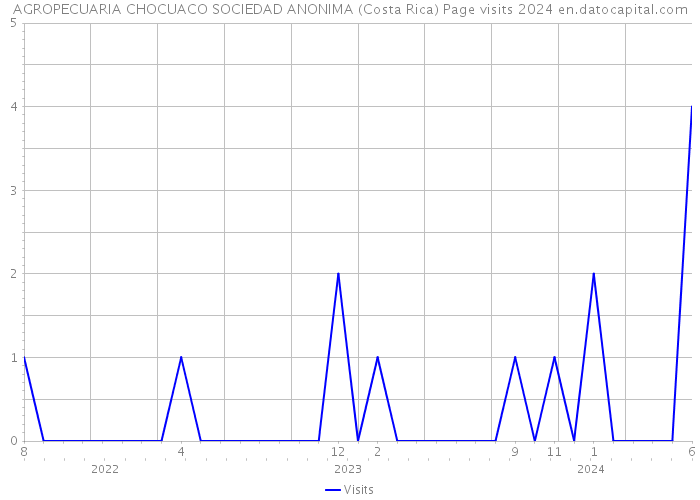 AGROPECUARIA CHOCUACO SOCIEDAD ANONIMA (Costa Rica) Page visits 2024 