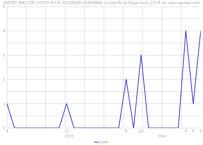 AMTEC MAG DE COSTA RICA SOCIEDAD ANONIMA (Costa Rica) Page visits 2024 