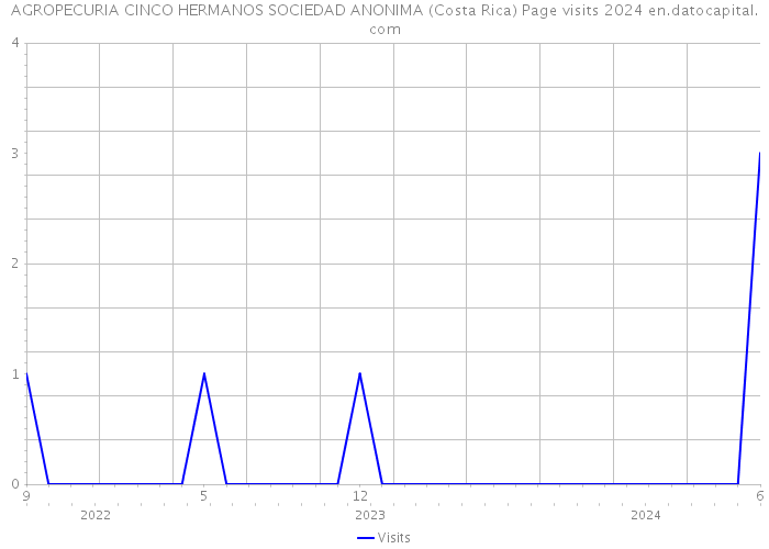 AGROPECURIA CINCO HERMANOS SOCIEDAD ANONIMA (Costa Rica) Page visits 2024 