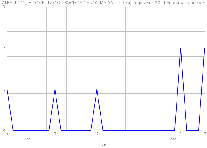 ALBARICOQUE COMPUTACION SOCIEDAD ANONIMA (Costa Rica) Page visits 2024 
