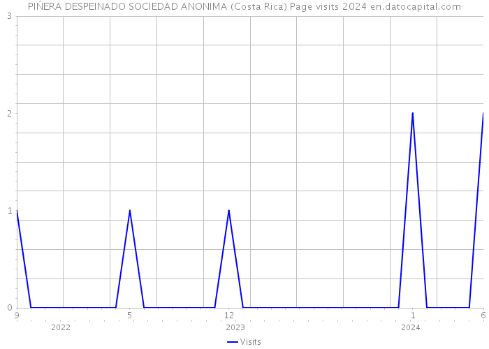 PIŃERA DESPEINADO SOCIEDAD ANONIMA (Costa Rica) Page visits 2024 
