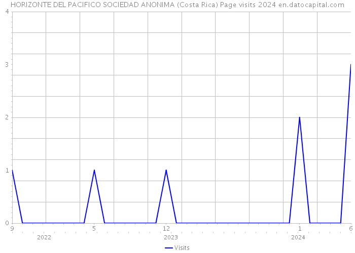 HORIZONTE DEL PACIFICO SOCIEDAD ANONIMA (Costa Rica) Page visits 2024 