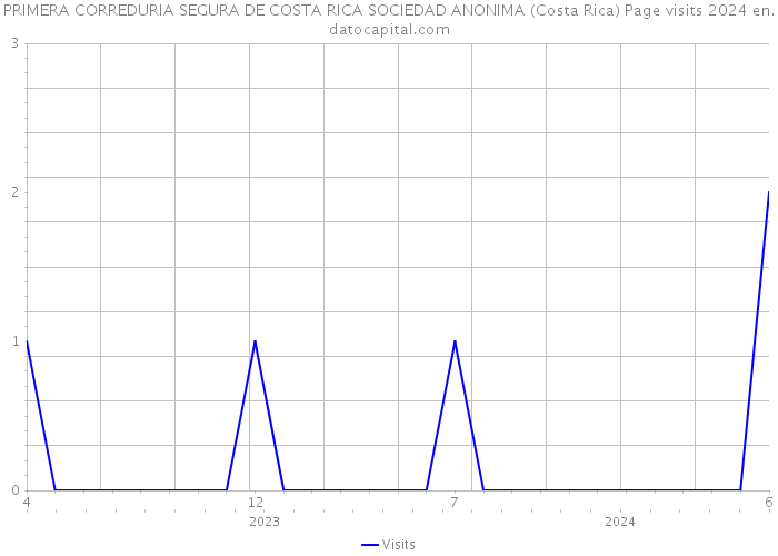 PRIMERA CORREDURIA SEGURA DE COSTA RICA SOCIEDAD ANONIMA (Costa Rica) Page visits 2024 