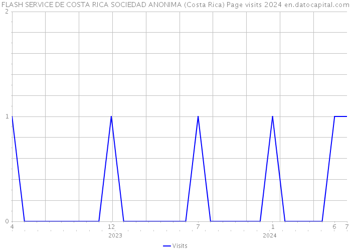 FLASH SERVICE DE COSTA RICA SOCIEDAD ANONIMA (Costa Rica) Page visits 2024 