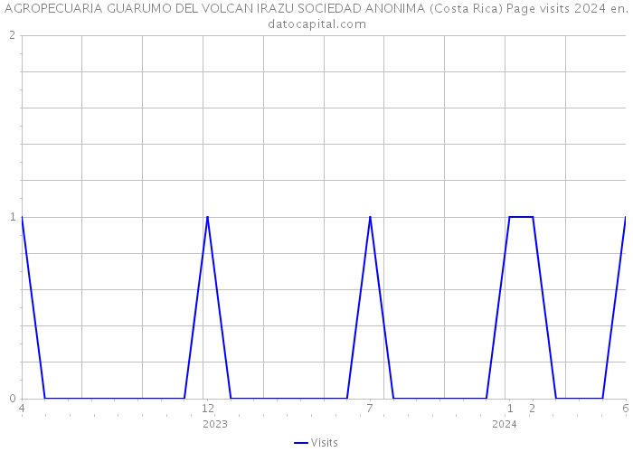 AGROPECUARIA GUARUMO DEL VOLCAN IRAZU SOCIEDAD ANONIMA (Costa Rica) Page visits 2024 
