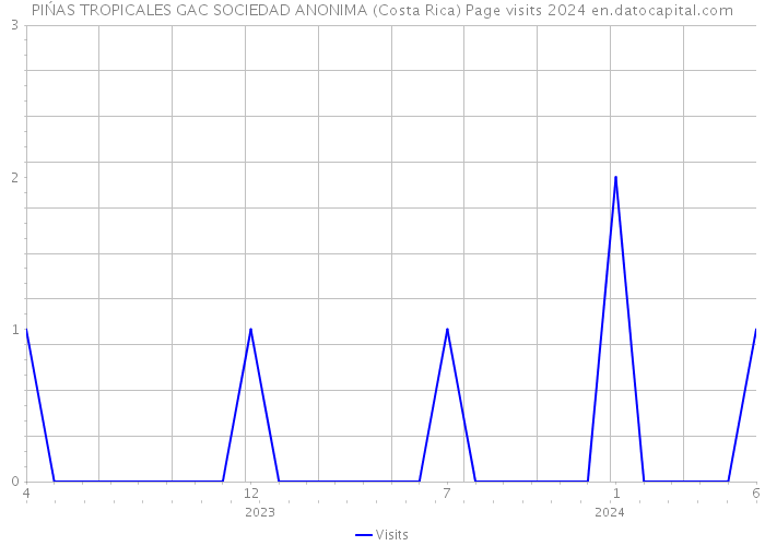 PIŃAS TROPICALES GAC SOCIEDAD ANONIMA (Costa Rica) Page visits 2024 