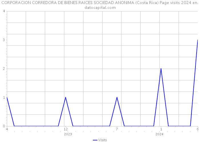 CORPORACION CORREDORA DE BIENES RAICES SOCIEDAD ANONIMA (Costa Rica) Page visits 2024 