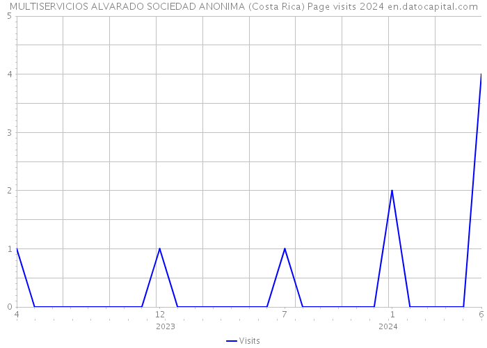 MULTISERVICIOS ALVARADO SOCIEDAD ANONIMA (Costa Rica) Page visits 2024 