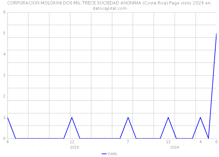 CORPORACION MOLOKINI DOS MIL TRECE SOCIEDAD ANONIMA (Costa Rica) Page visits 2024 