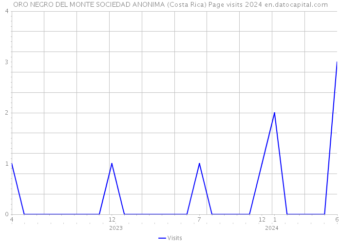 ORO NEGRO DEL MONTE SOCIEDAD ANONIMA (Costa Rica) Page visits 2024 