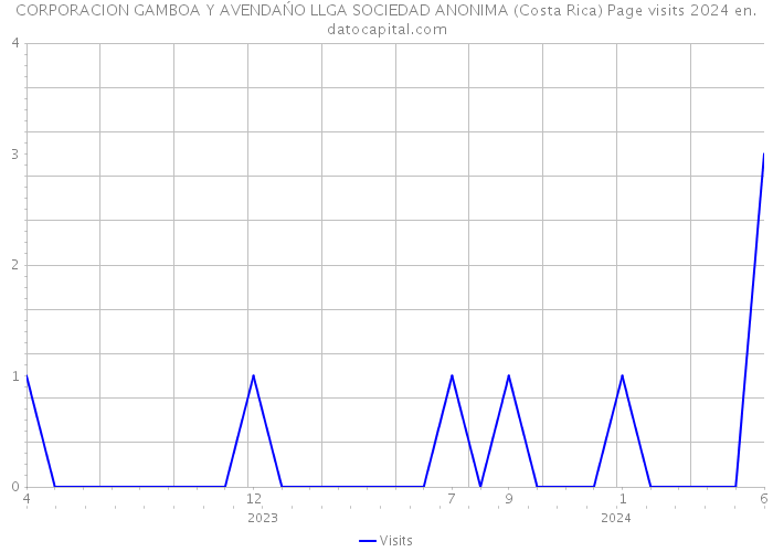 CORPORACION GAMBOA Y AVENDAŃO LLGA SOCIEDAD ANONIMA (Costa Rica) Page visits 2024 