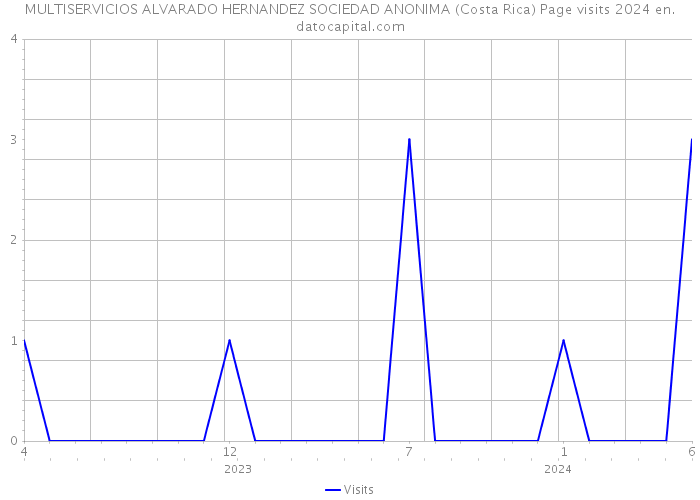 MULTISERVICIOS ALVARADO HERNANDEZ SOCIEDAD ANONIMA (Costa Rica) Page visits 2024 