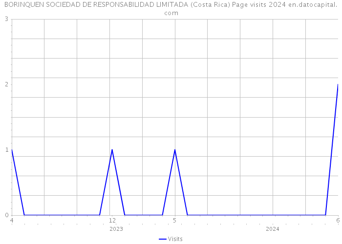 BORINQUEN SOCIEDAD DE RESPONSABILIDAD LIMITADA (Costa Rica) Page visits 2024 