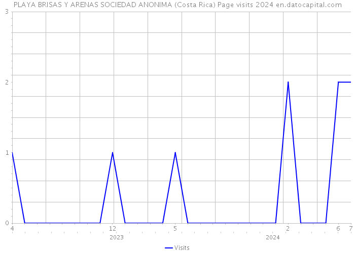 PLAYA BRISAS Y ARENAS SOCIEDAD ANONIMA (Costa Rica) Page visits 2024 