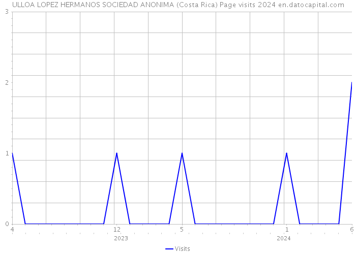 ULLOA LOPEZ HERMANOS SOCIEDAD ANONIMA (Costa Rica) Page visits 2024 