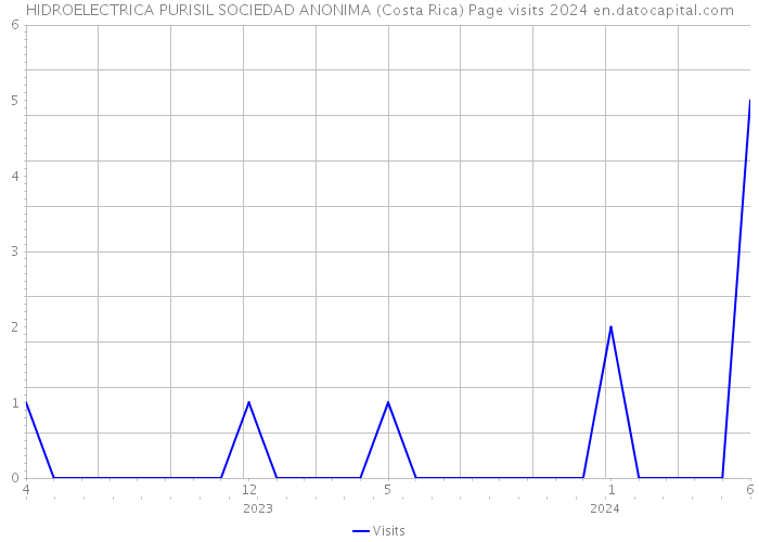 HIDROELECTRICA PURISIL SOCIEDAD ANONIMA (Costa Rica) Page visits 2024 