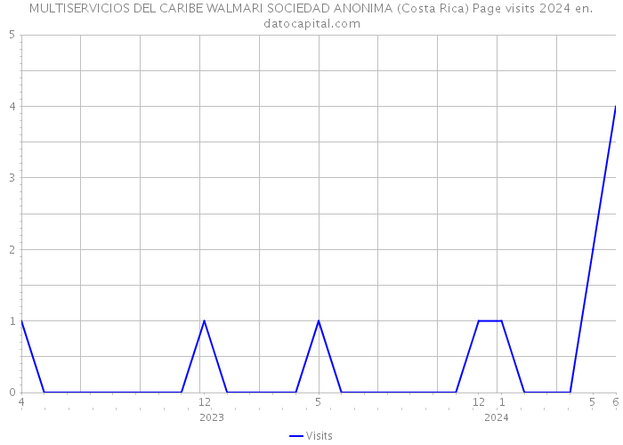 MULTISERVICIOS DEL CARIBE WALMARI SOCIEDAD ANONIMA (Costa Rica) Page visits 2024 