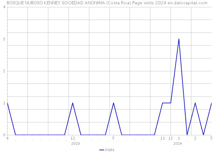 BOSQUE NUBOSO KENNEY SOCIEDAD ANONIMA (Costa Rica) Page visits 2024 