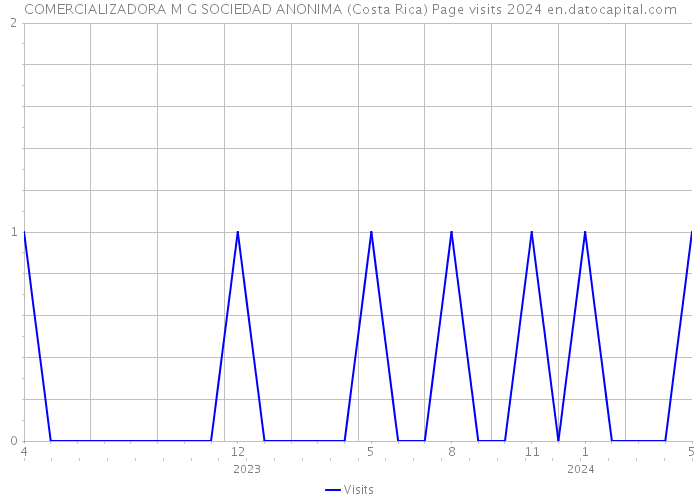 COMERCIALIZADORA M G SOCIEDAD ANONIMA (Costa Rica) Page visits 2024 