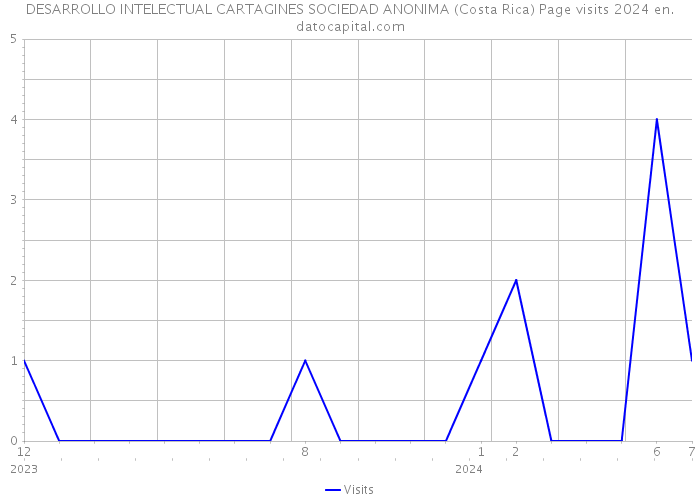 DESARROLLO INTELECTUAL CARTAGINES SOCIEDAD ANONIMA (Costa Rica) Page visits 2024 