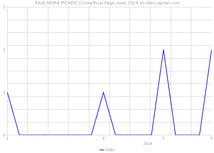 RAUL MORA PICADO (Costa Rica) Page visits 2024 