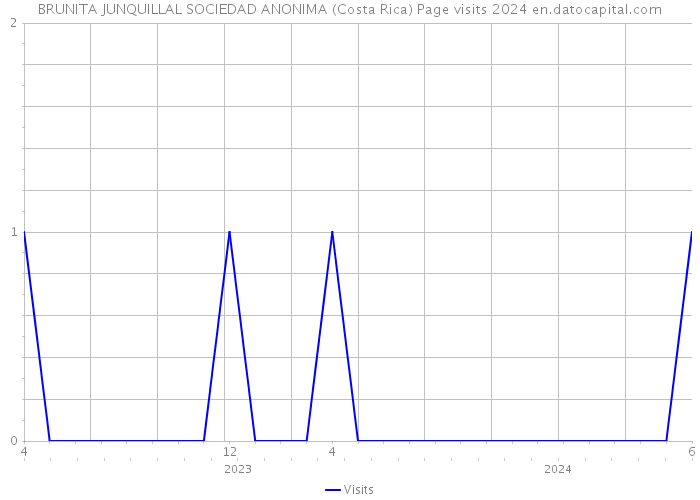 BRUNITA JUNQUILLAL SOCIEDAD ANONIMA (Costa Rica) Page visits 2024 