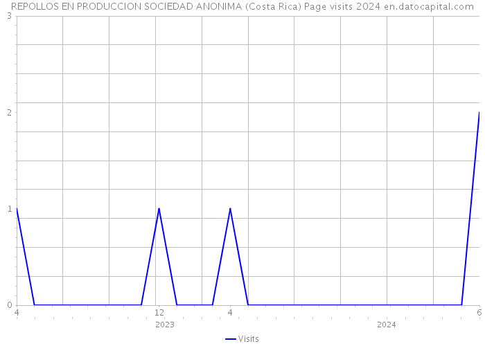 REPOLLOS EN PRODUCCION SOCIEDAD ANONIMA (Costa Rica) Page visits 2024 