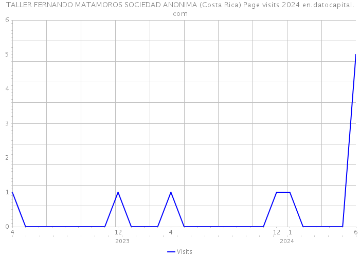 TALLER FERNANDO MATAMOROS SOCIEDAD ANONIMA (Costa Rica) Page visits 2024 