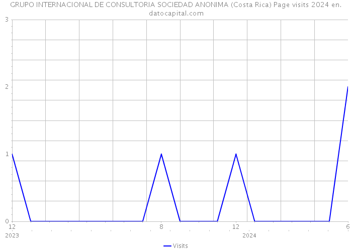 GRUPO INTERNACIONAL DE CONSULTORIA SOCIEDAD ANONIMA (Costa Rica) Page visits 2024 