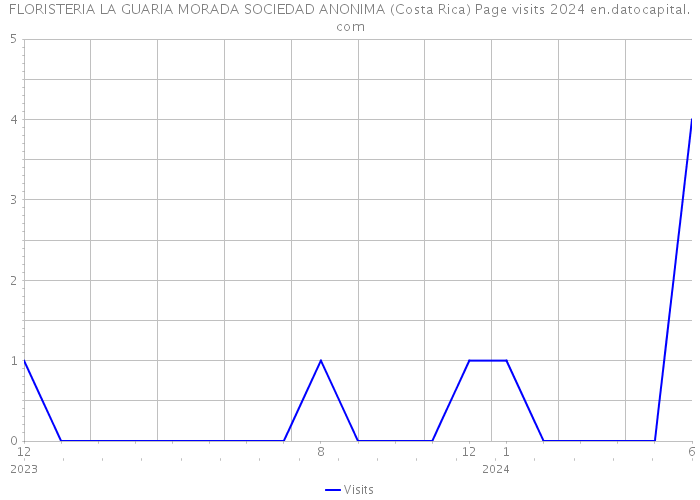 FLORISTERIA LA GUARIA MORADA SOCIEDAD ANONIMA (Costa Rica) Page visits 2024 