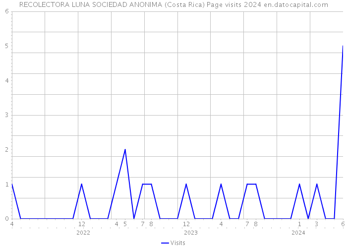 RECOLECTORA LUNA SOCIEDAD ANONIMA (Costa Rica) Page visits 2024 