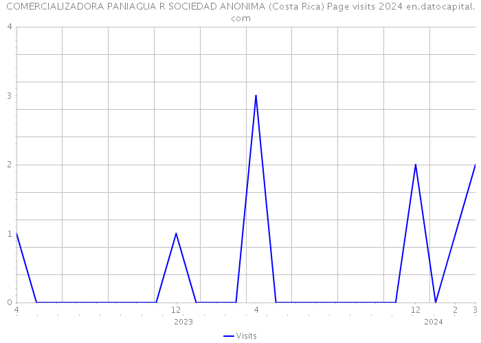 COMERCIALIZADORA PANIAGUA R SOCIEDAD ANONIMA (Costa Rica) Page visits 2024 