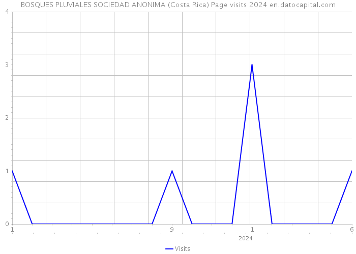 BOSQUES PLUVIALES SOCIEDAD ANONIMA (Costa Rica) Page visits 2024 