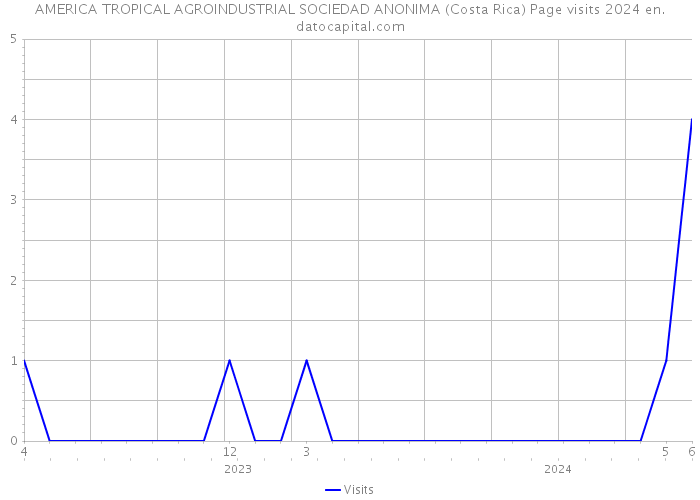 AMERICA TROPICAL AGROINDUSTRIAL SOCIEDAD ANONIMA (Costa Rica) Page visits 2024 
