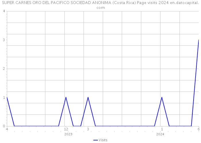 SUPER CARNES ORO DEL PACIFICO SOCIEDAD ANONIMA (Costa Rica) Page visits 2024 