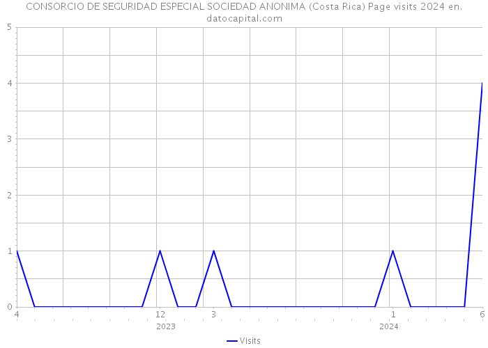 CONSORCIO DE SEGURIDAD ESPECIAL SOCIEDAD ANONIMA (Costa Rica) Page visits 2024 