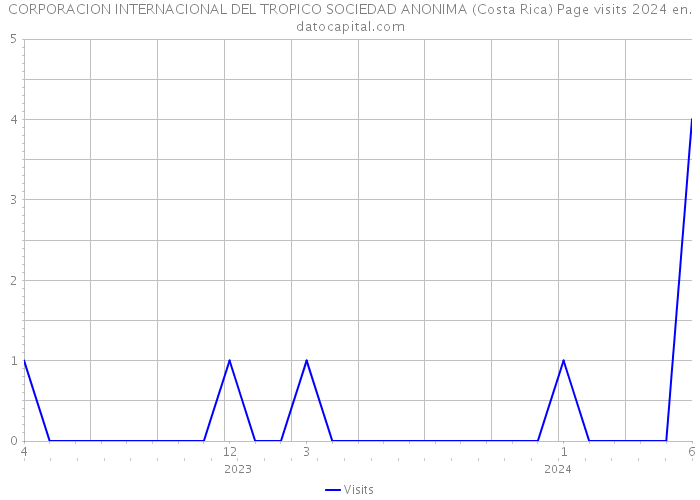 CORPORACION INTERNACIONAL DEL TROPICO SOCIEDAD ANONIMA (Costa Rica) Page visits 2024 