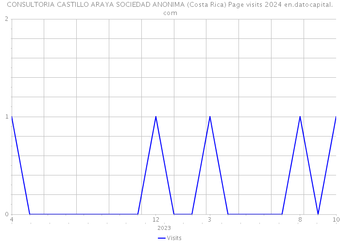 CONSULTORIA CASTILLO ARAYA SOCIEDAD ANONIMA (Costa Rica) Page visits 2024 