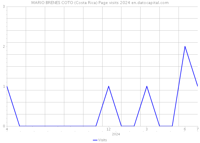 MARIO BRENES COTO (Costa Rica) Page visits 2024 