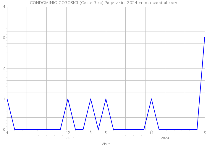 CONDOMINIO COROBICI (Costa Rica) Page visits 2024 