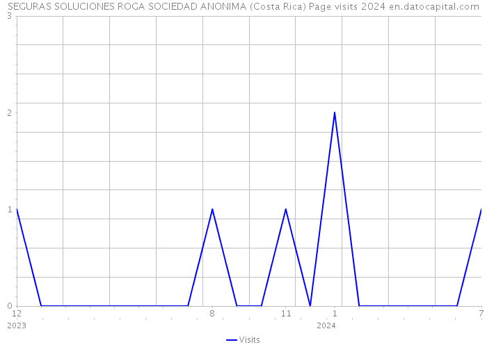 SEGURAS SOLUCIONES ROGA SOCIEDAD ANONIMA (Costa Rica) Page visits 2024 