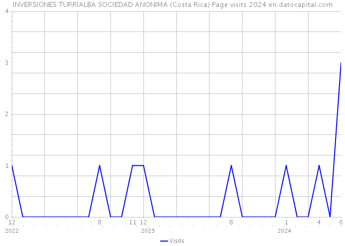 INVERSIONES TURRIALBA SOCIEDAD ANONIMA (Costa Rica) Page visits 2024 