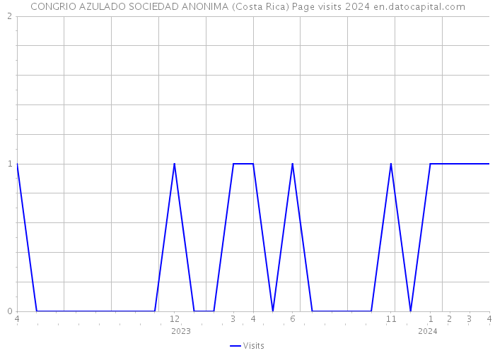 CONGRIO AZULADO SOCIEDAD ANONIMA (Costa Rica) Page visits 2024 
