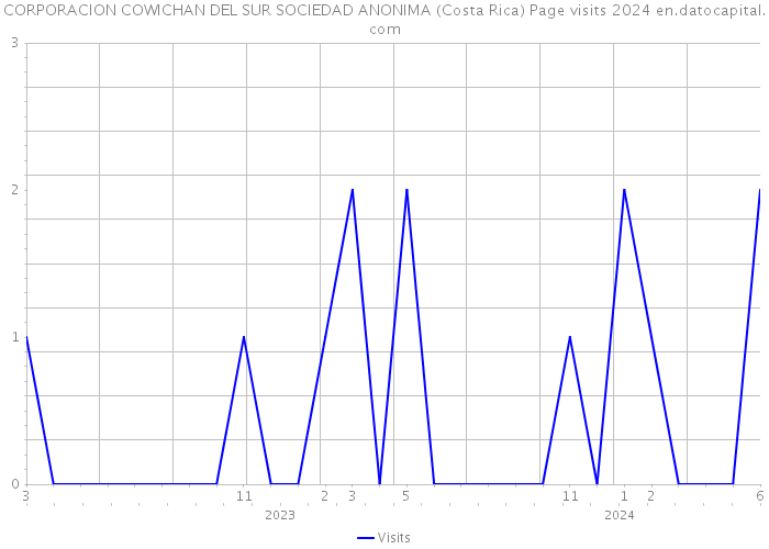 CORPORACION COWICHAN DEL SUR SOCIEDAD ANONIMA (Costa Rica) Page visits 2024 