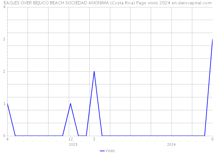EAGLES OVER BEJUCO BEACH SOCIEDAD ANONIMA (Costa Rica) Page visits 2024 